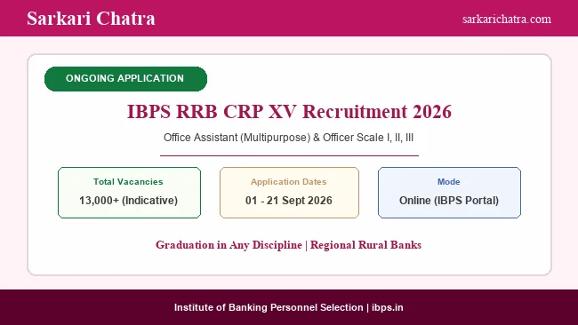 IBPS RRB Recruitment 2026 Apply for Clerk and Officer Posts