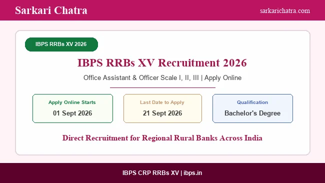 IBPS RRBs XV Recruitment 2026 Apply Online Started for Office Assistant and Officers
